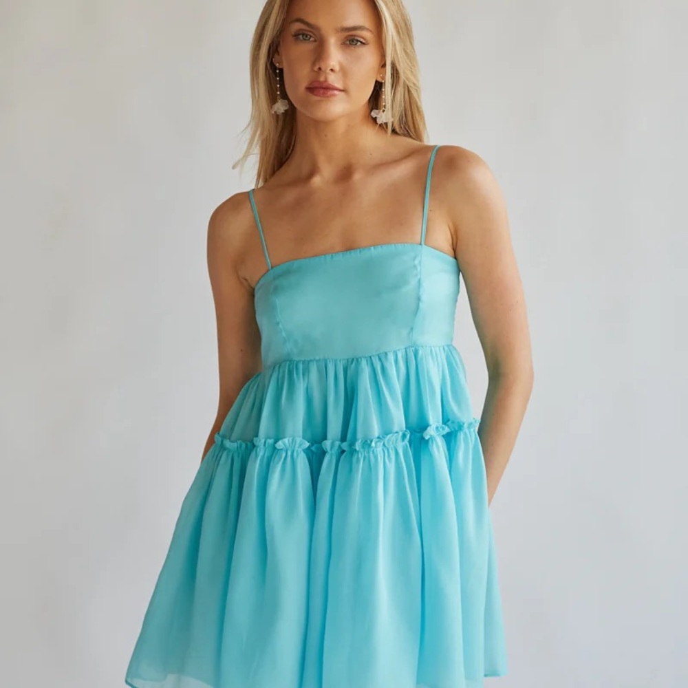 American Threads Noah Organza Babydoll Mini Dress